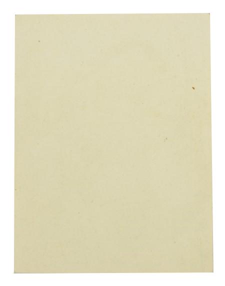German LW NCO Portrait Picture