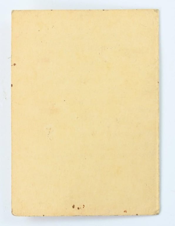 US Occupation Period 'Vienna Pass'