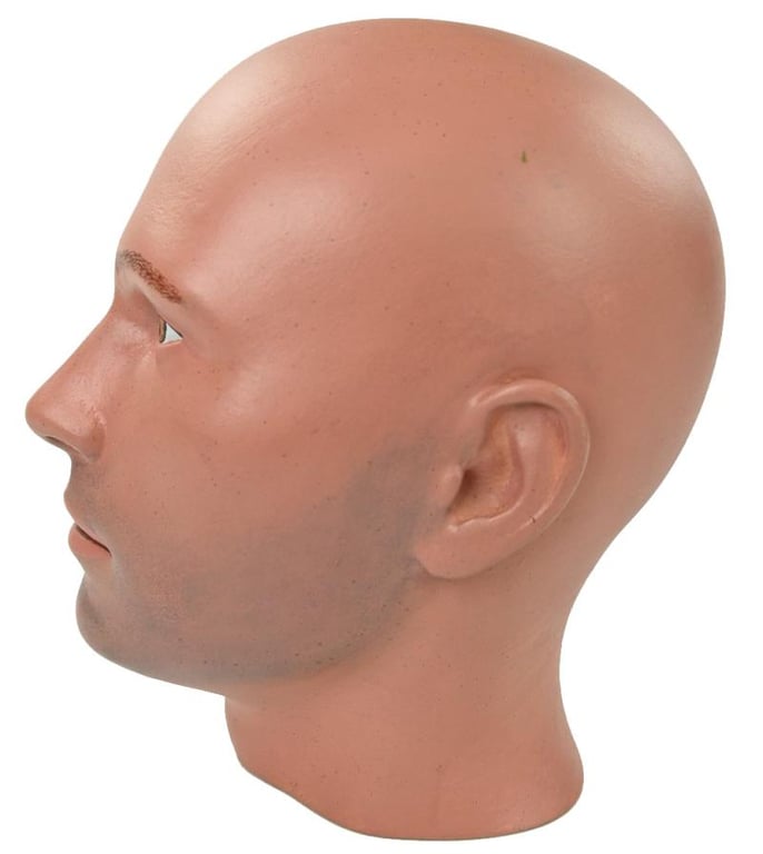 Painted Male Mannequin Head