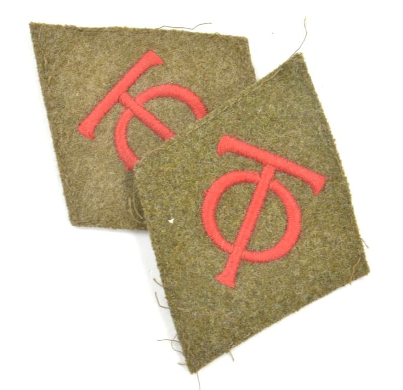 German Organisation Todt Rank Collar tabs