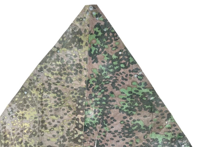 W-SS Plane Tree 6/6 Shelter Quarter