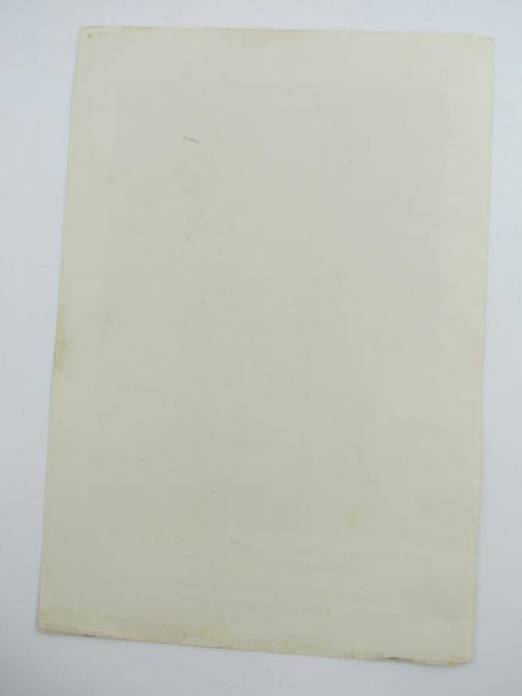 Third Reich Print Wolf Willrich Painting Deutsche Jungmadelfuhrerin