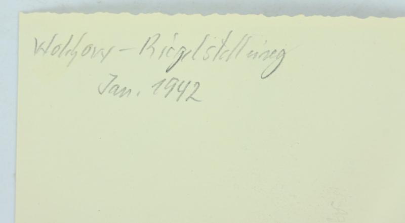 German WH Field Picture Wolchow