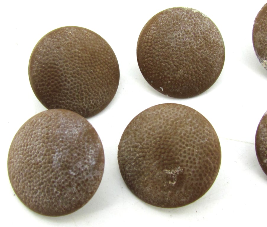 8x Wehrmacht 18 mm Tropical Uniform Buttons