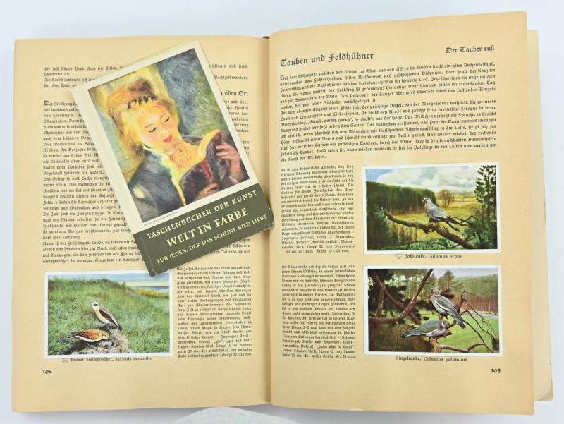 German Third Reich CigaretAlbum 'Aus Deutschlands Vogelwelt'