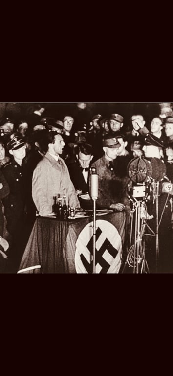 WWII GERMAN POLITICAL NSDAP THIRD REICH PODIUM FLAG DRAP WITH ORIGINAL RINGS AND TASSLES ADDITIONAL