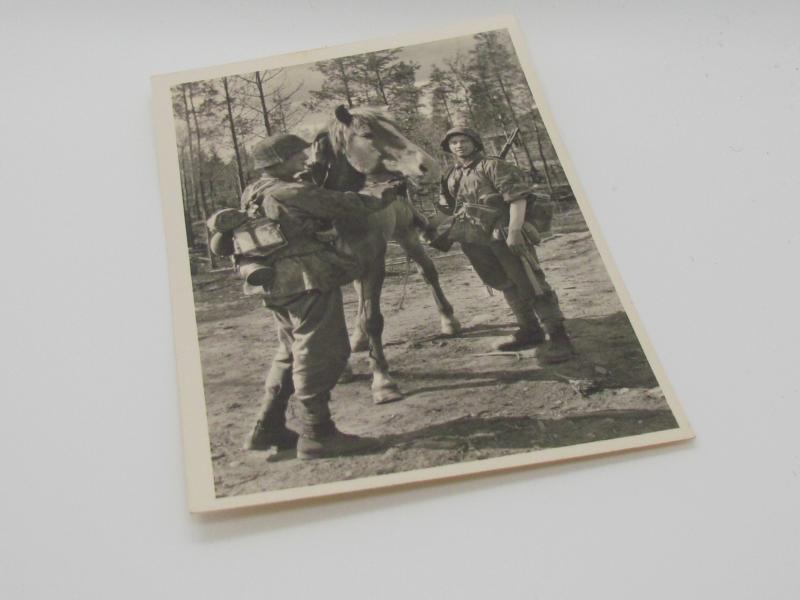 Postcard : Unsere Waffen-SS