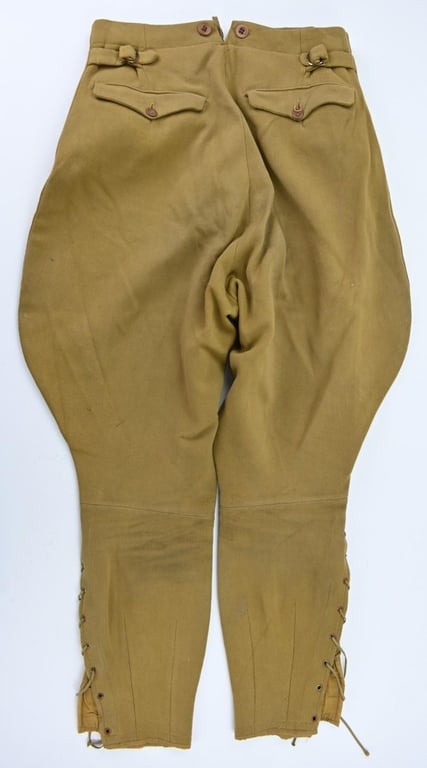 German NSDAP Leader Service Breeches