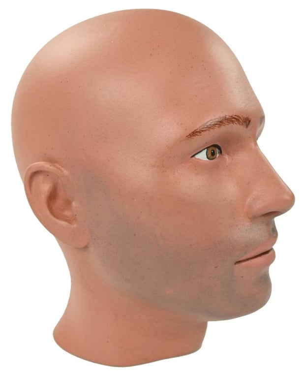 Painted Male Mannequin Head