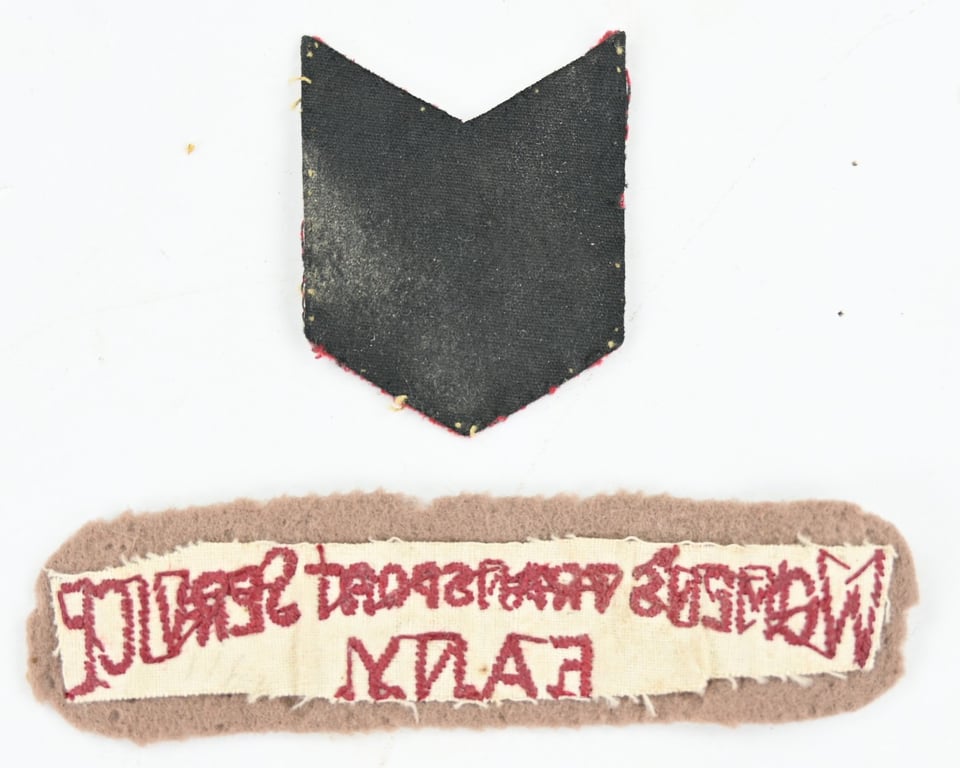 British WW2 Fany Insignia Set