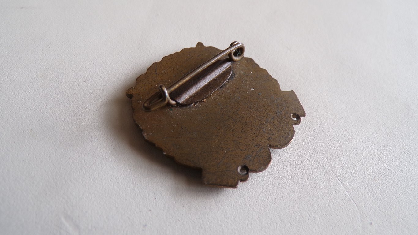 RDKS Rifle Shooting Award Badge - Bronze Grade