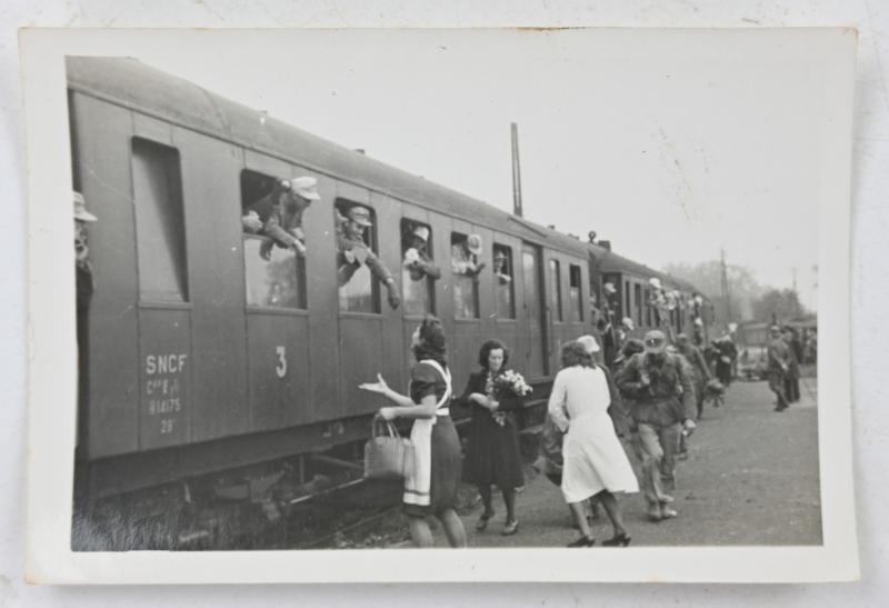 German WH Afrikakorps Picture Set
