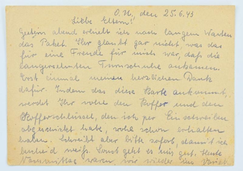 German Waffen-SS Feldpost Letter with Envelop