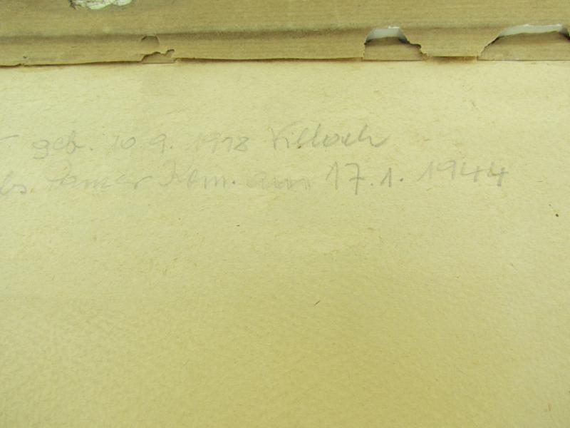 Large Portrait Photo of an SS Panzer Soldier ( KIA Riga 1944 )