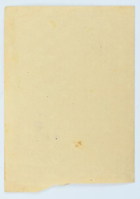German Waffen-SS Feldpost Letter with Envelop