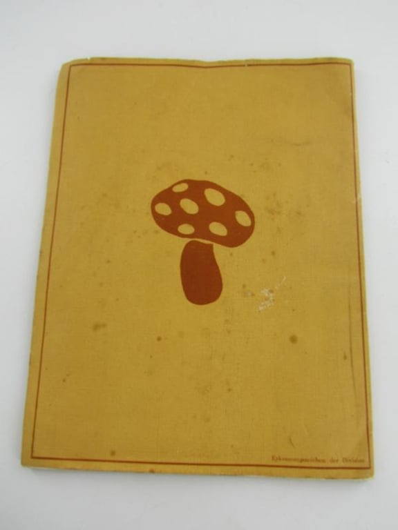 From the Rhine to the Loire - Memorabilia of a Field Division