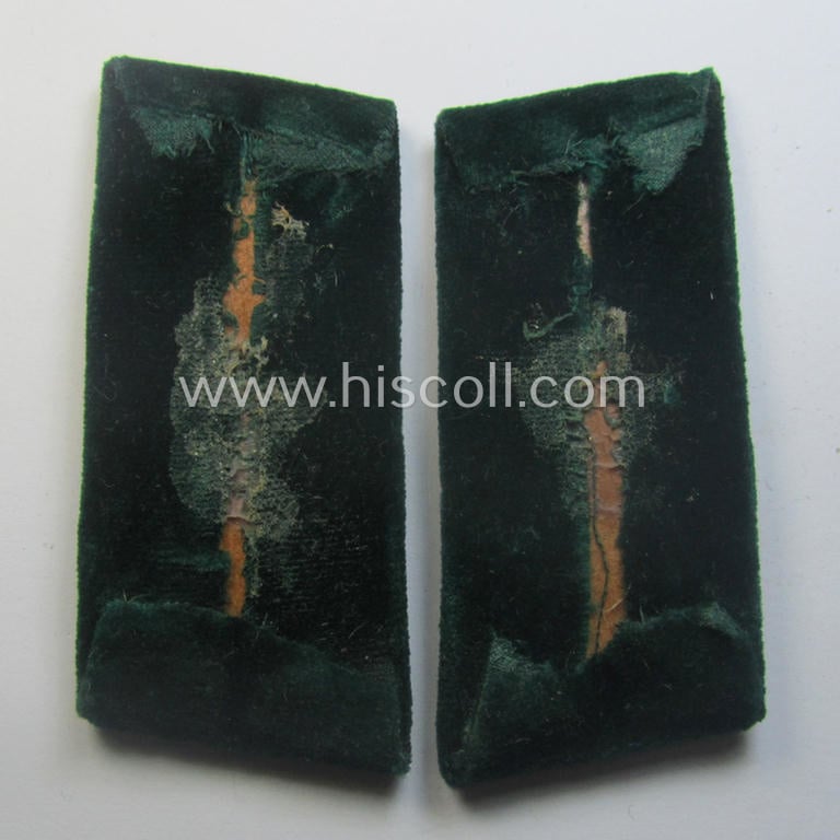 Pair of RAD- (ie. 'Reichsarbeitsdienst') officers'-type collar-tabs as executen onto a green-coloured- (and velvet-based!) background: 'mittlere RAD-Führer'