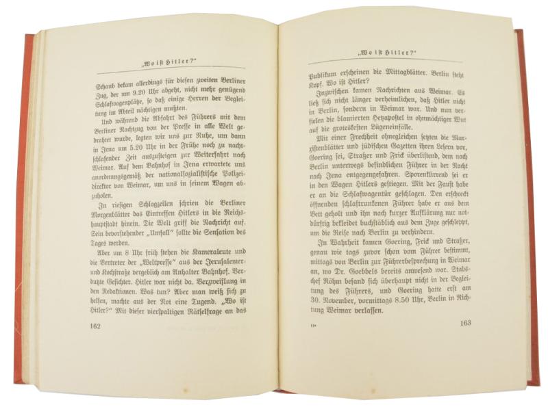 German Book: Mit Hitler in die Macht