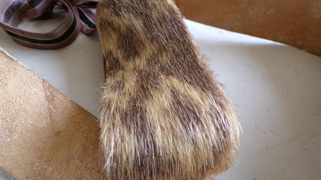 Gebirgsjäger Ski Climbing Skin