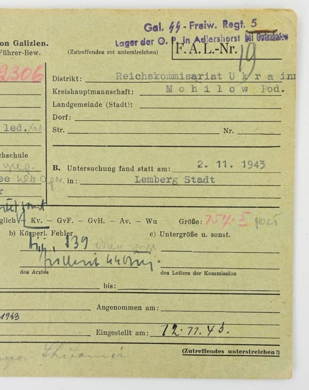 German Waffen-SS Member Document Division "Galicia"