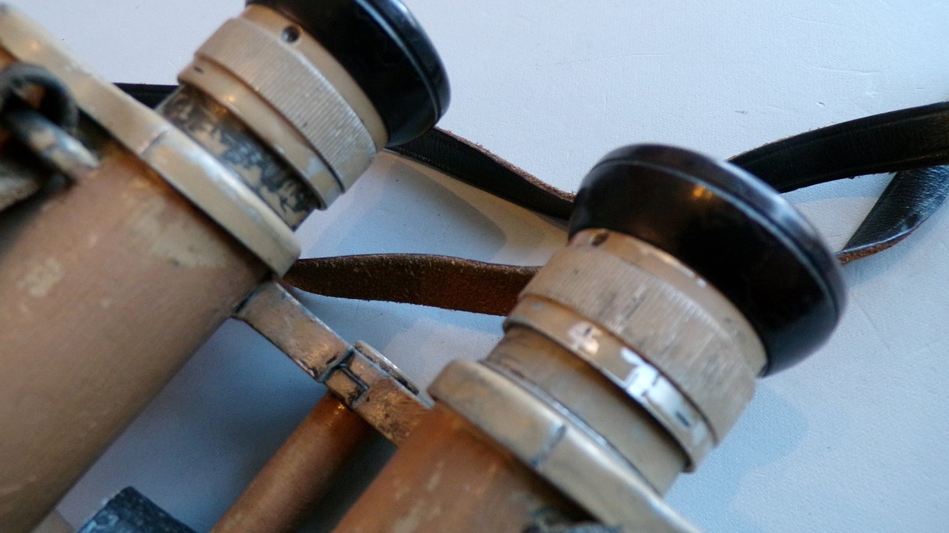 Heer/LW/SS 6 x 30 binoculars by DDX