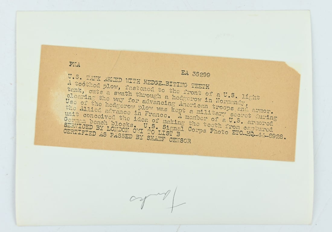 US WW2 Press Photo Normandy Hedgerows