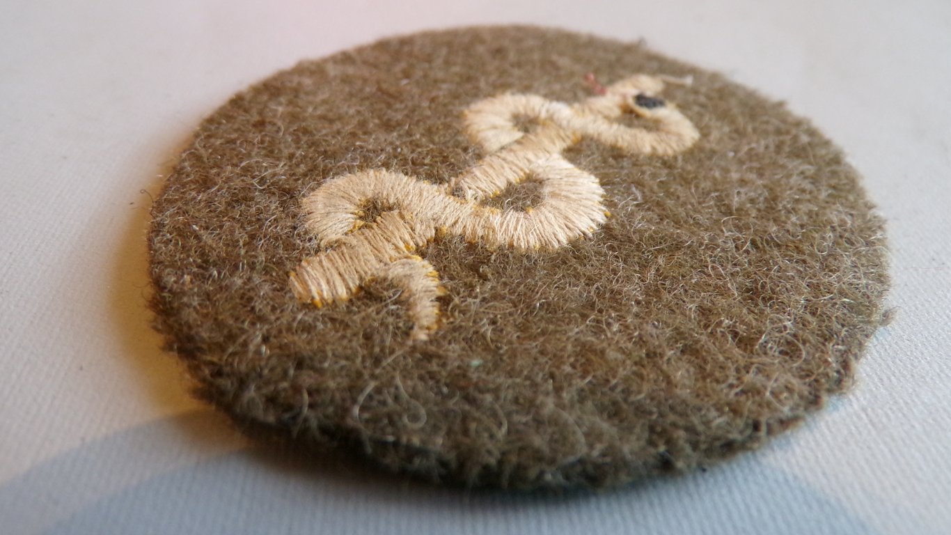 Army Medical Personnel Sleeve Badge