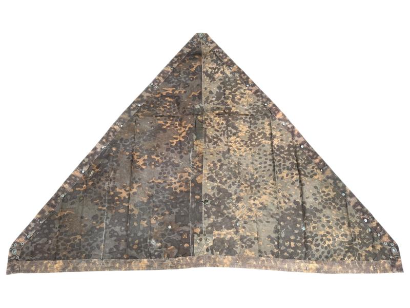 W-SS Plane Tree 6/6 Shelter Quarter