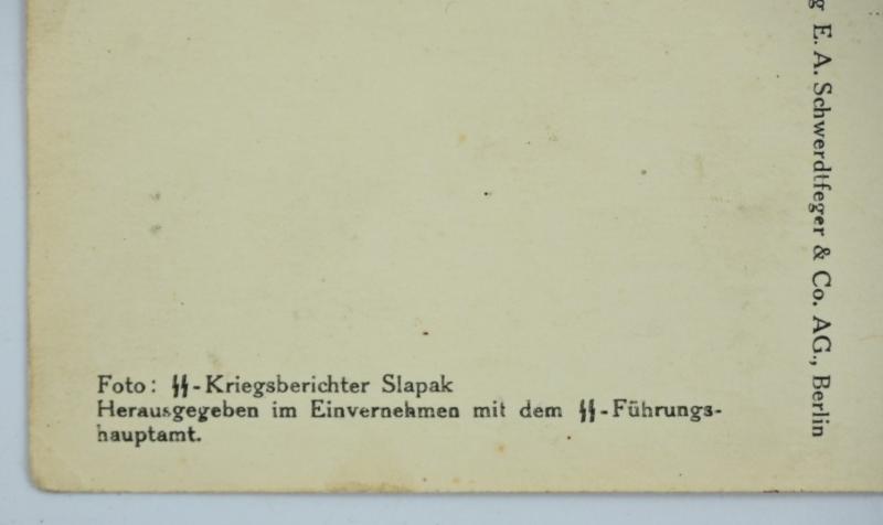 German Waffen-SS Postcard GBJ Division ''Nord''