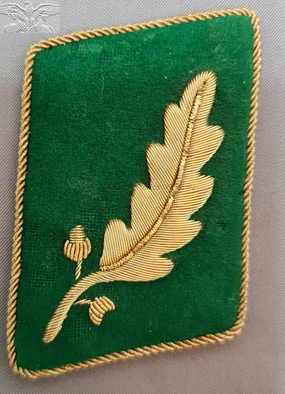 SA Standartenfuhrer Collar Patches | Gruppe Pommern. Matched | Pair.