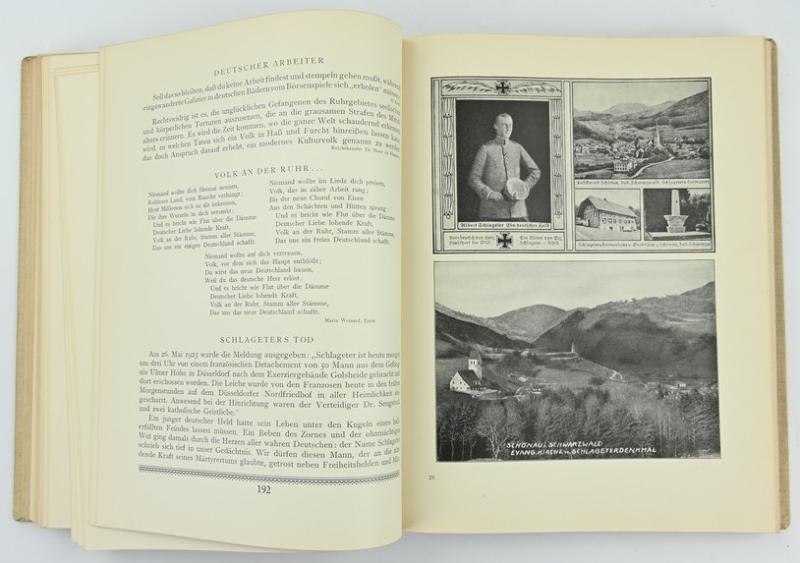 German Book:'Deutsche Zeitenwende vom Nationalismus zum Nationalsozialismus'