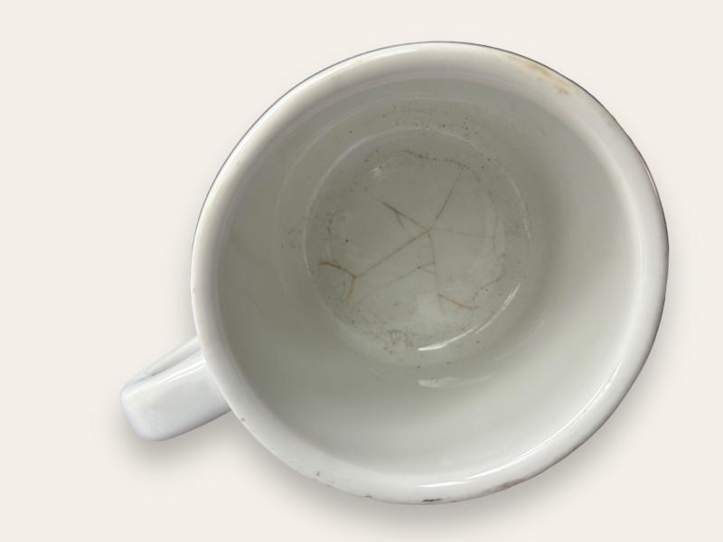 Waffen-SS Porcelain Mug