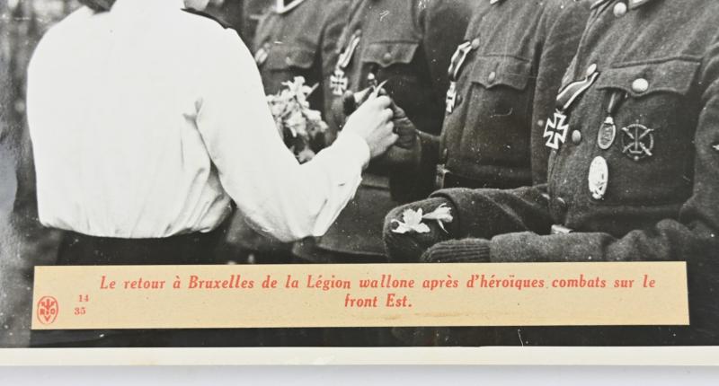 Flemish SS Press Photo 'Back from Eastern Front'