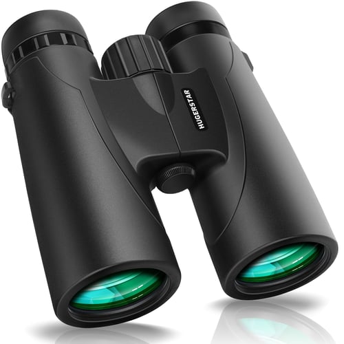 Binoculars in use outdoors showing grip and form factor