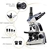 Swift Compound Trinocular Microscope SW350T,40X-2500X Magnification,Siedentopf Head,Two-Layer Mechanical Stage,with Swiftcam 5 Megapixel Camera and Software Windows/Mac/Linux and USB 3.0 Cable - product photo 4 of 5