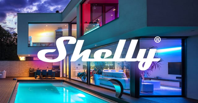Shelly 2PM - product photo 2 of 5