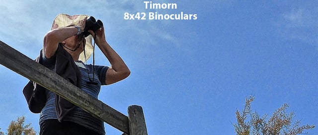 Binoculars for Bird Watching - High Powered Binocular for Adults - Birding Binoculars for Hunting 8x42 - product photo 5 of 5