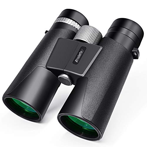 Binoculars with carrying case and accessories included