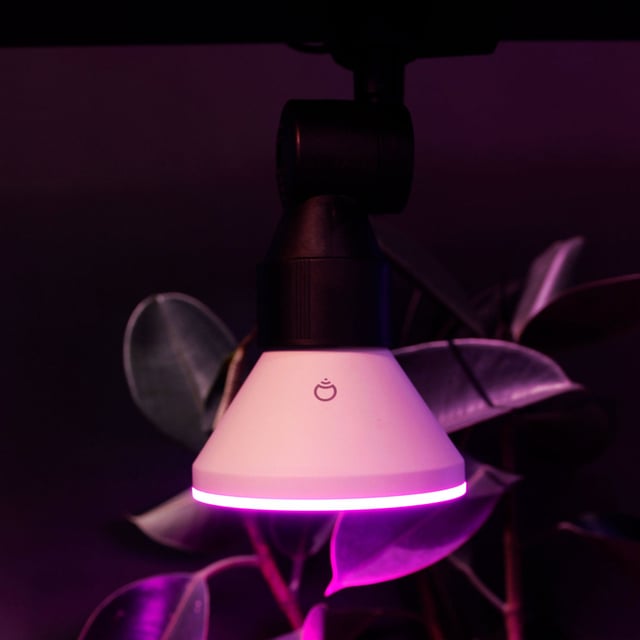 LIFX Par38 - product photo 3 of 5