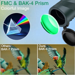 80x100 monocular Telescope, Suitable for Adults and Children, for Bird Watching, Hiking, and Concert Tours, with Phone Clip and Stand - product photo 3 of 5
