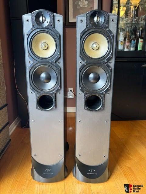 Paradigm Studio 60 V3 - product photo 4 of 5