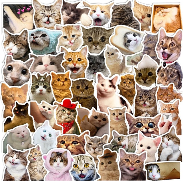100 Pcs Cute Cat Stickers for Kids, Waterproof for Kids,Vinyl for Water Bottle,Laptop,Phone,Skateboard Stickers for KidsTeens Girls and Boys