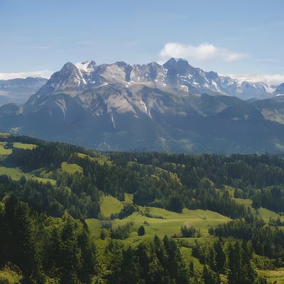 A view of a mountain range with trees in the foreground