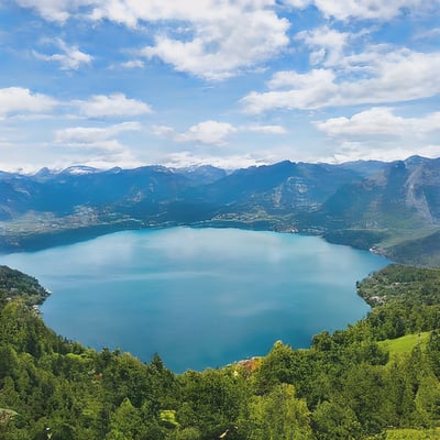 A large lake surrounded by lush green trees