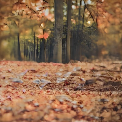 A forest filled with lots of leaf covered trees