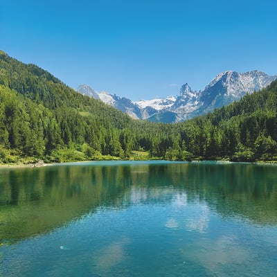 A lake surrounded by mountains and trees