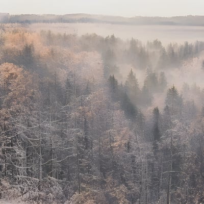 A snow covered hillside