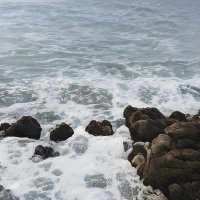 A bird sitting on a rock near the ocean