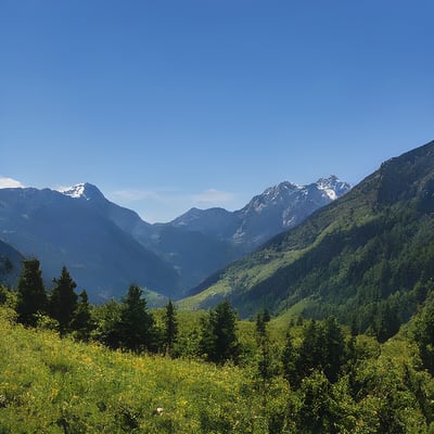 A view of a valley with mountains in the background