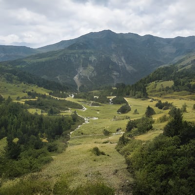 A view of a valley with mountains in the background